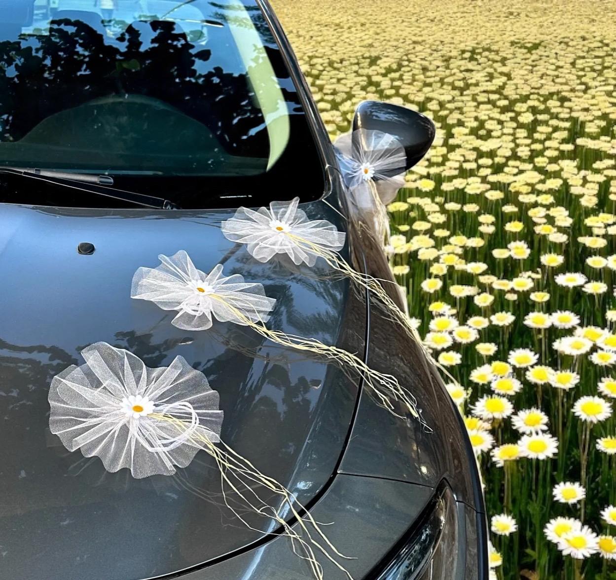 10 adet papatya Konvoy araba bohça süsleme tülü